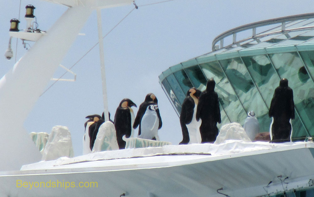 Liberty of the Seas cruise ship penguins