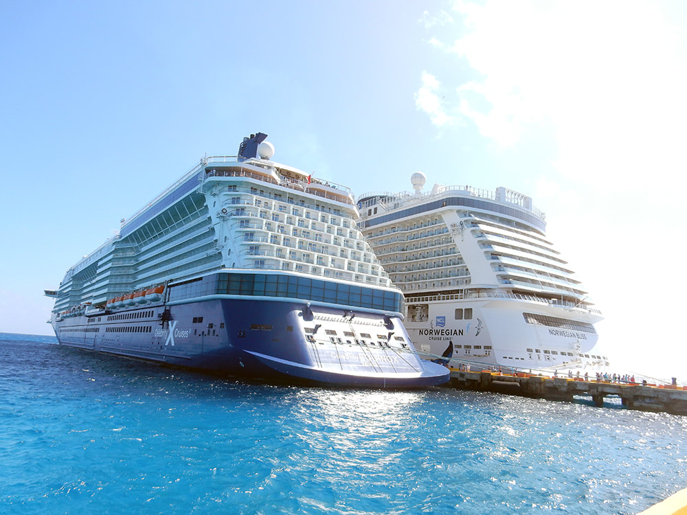 Cruise ships Celebrity Equinox and Norwegian Bliss