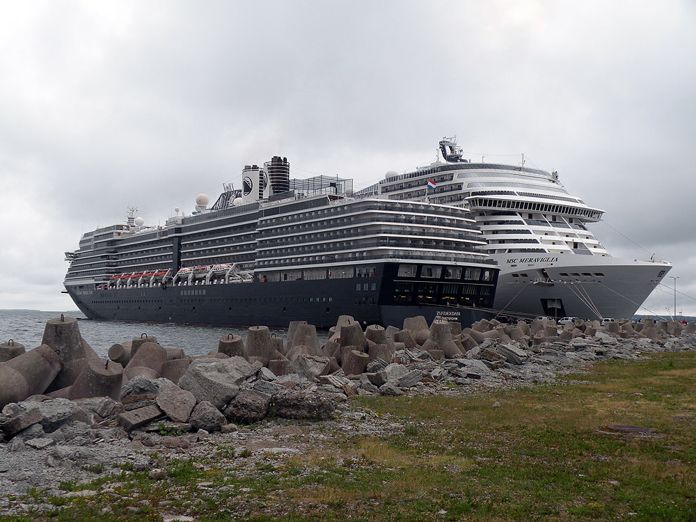 Cruise ships Zuiderdam and MSC Meraviglia