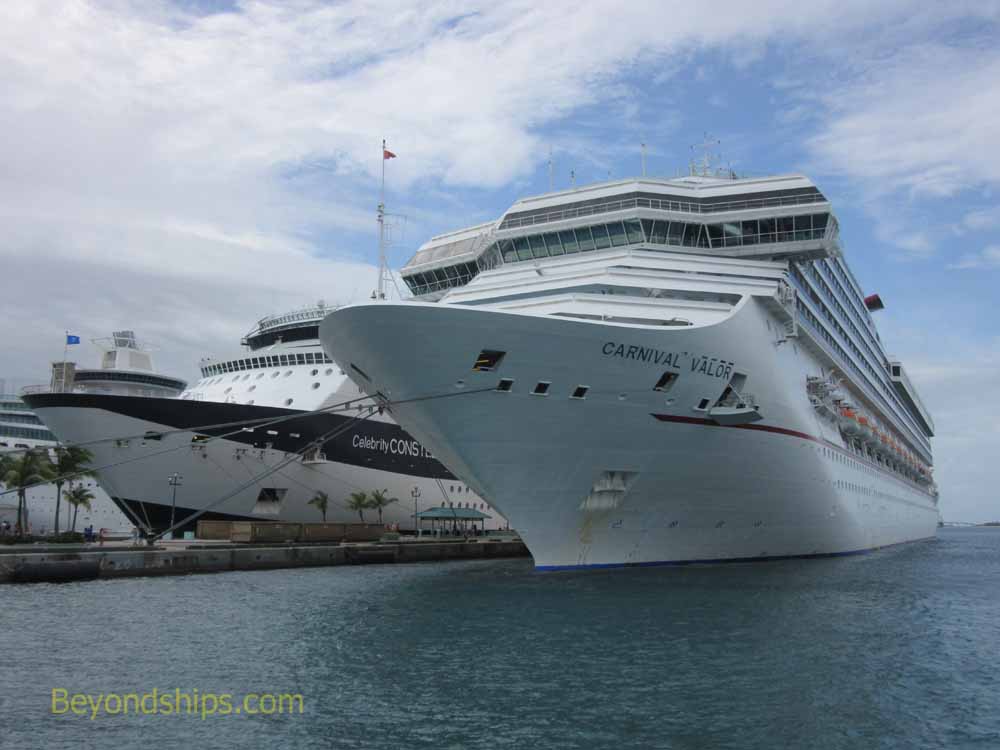 Carnival Valor and Celebrity Constellation cruise ships
