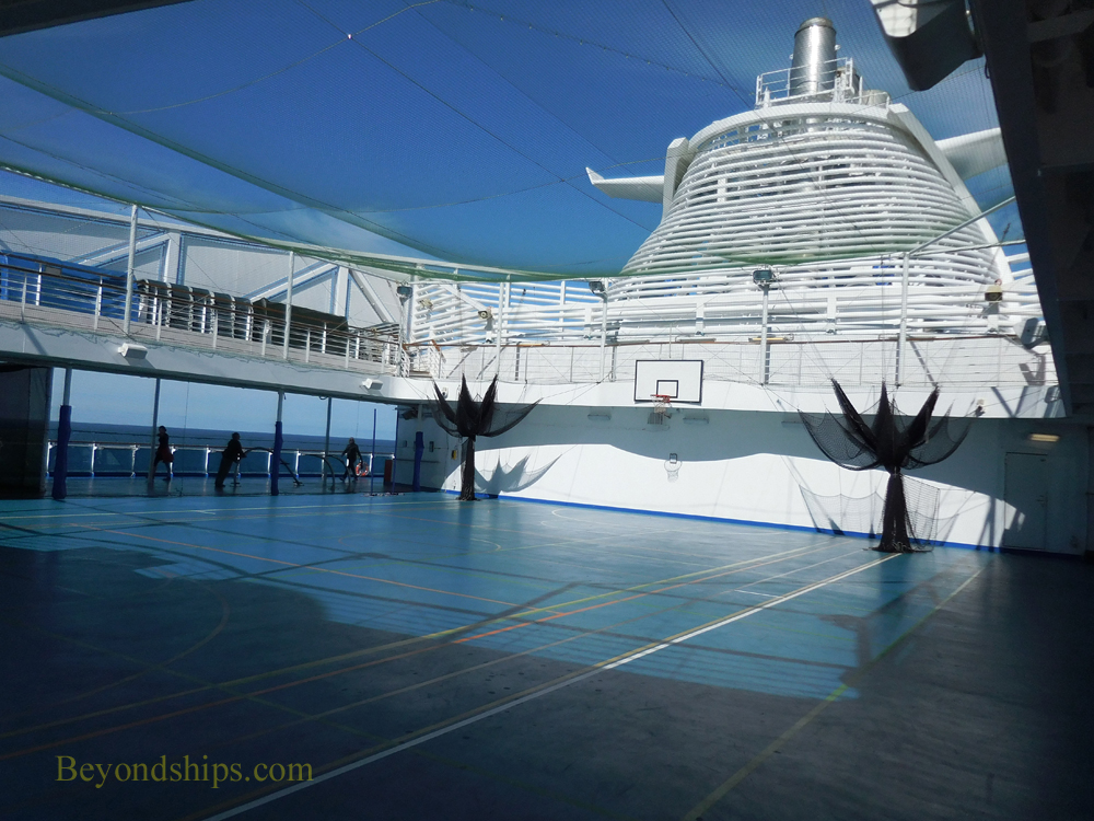 Picture cruise ship Regal Princess