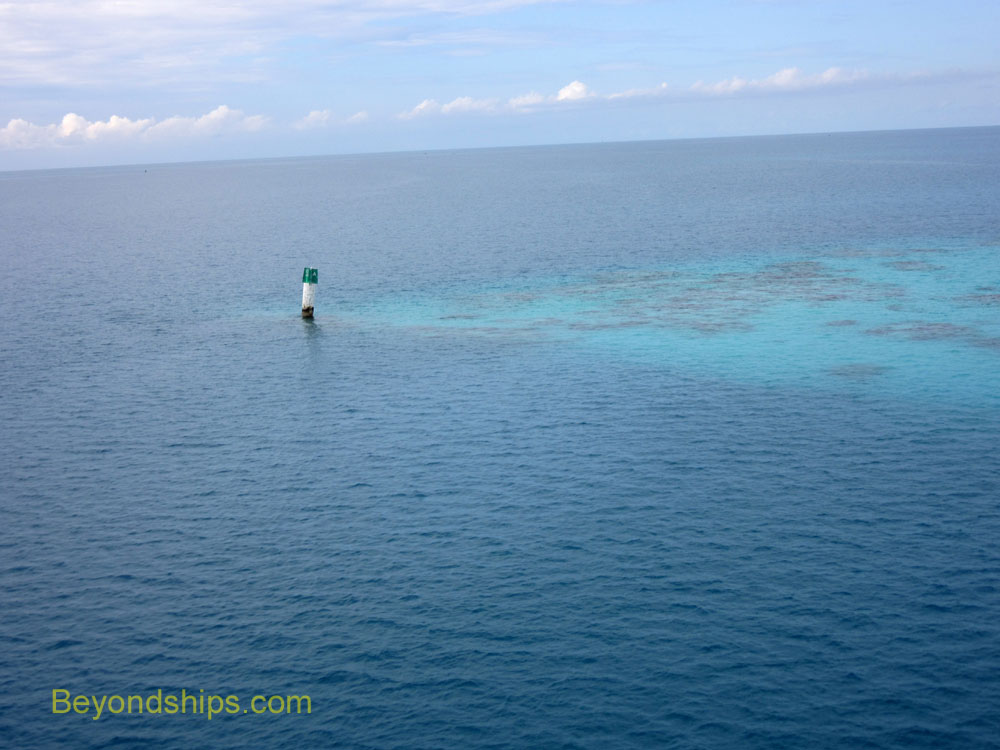 Bermuda reef